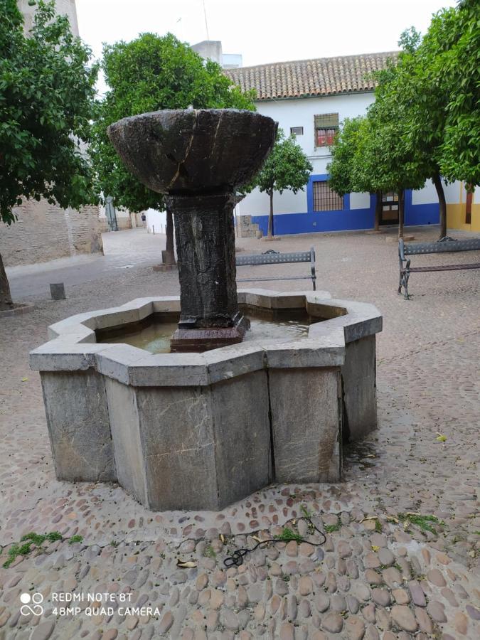 Alojamiento Casa Tipica De Κόρδοβα Εξωτερικό φωτογραφία