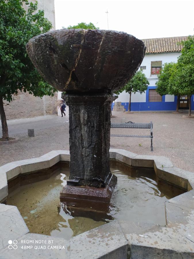 Alojamiento Casa Tipica De Κόρδοβα Εξωτερικό φωτογραφία