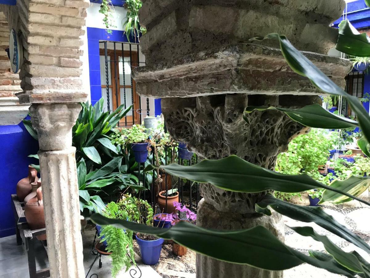 Alojamiento Casa Tipica De Κόρδοβα Εξωτερικό φωτογραφία